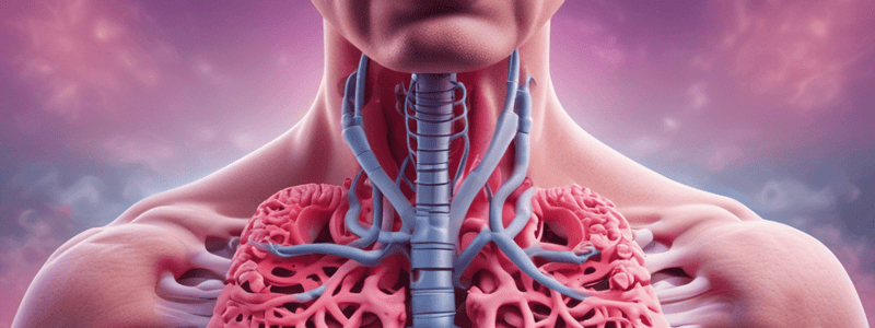 Asthma Overview