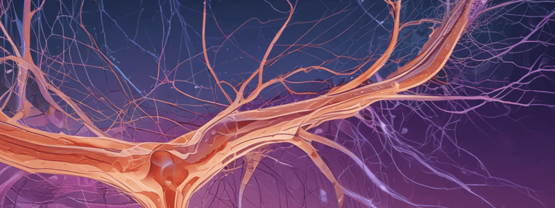 Peripheral Nerves and Axons Quiz