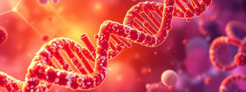 Enzymes in DNA Replication Flashcards