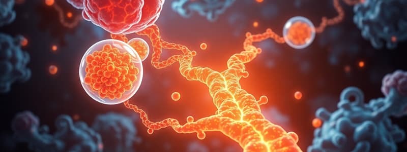 Lipid Transport and Distribution