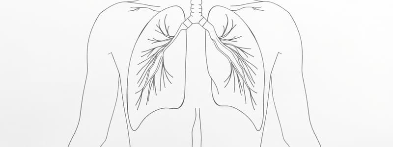 Composizione dell'Aria Alveolare e Respirazione (Fisiologia 47)