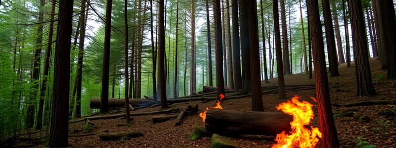 Incendios Forestales en la Comunidad Valenciana