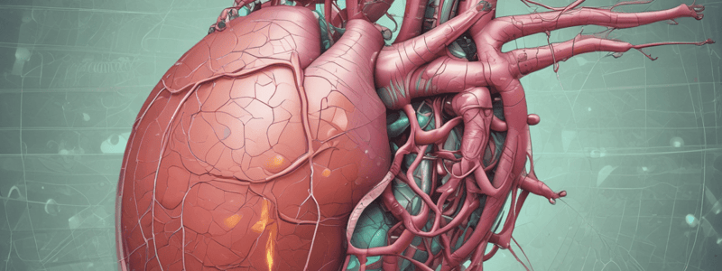 Human Liver Function and Bile Production