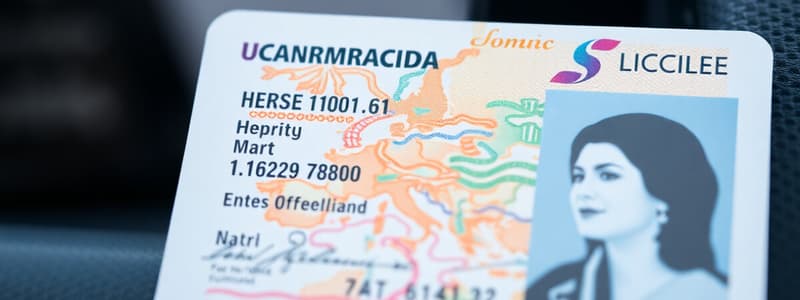 Permiso y Licencia de Conducción en España