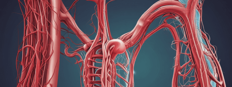 Peripheral Vascular System Assessment