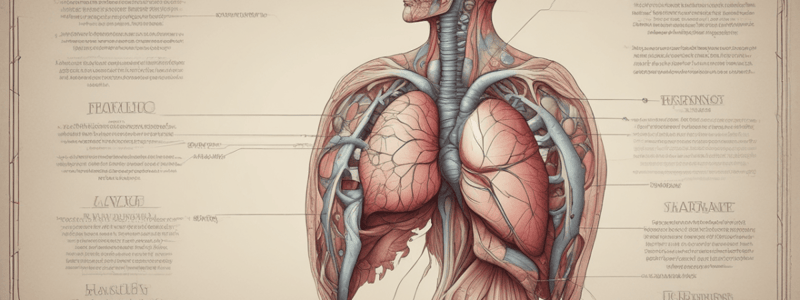 Anatomy and Functions of the Liver