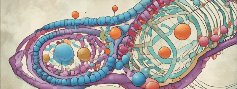 Cell-Free Protein Synthesis