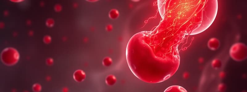 Understanding Anaemia and Full Blood Count (FBC)