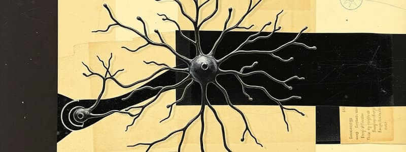 Nervous System: Neuron Types and CNS/PNS