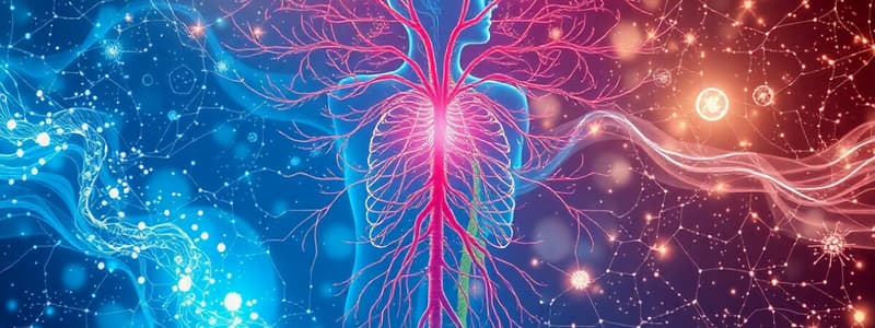 Autonomic Nervous System Overview