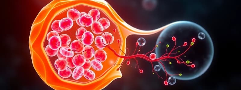 Cellular Respiration and Organelles