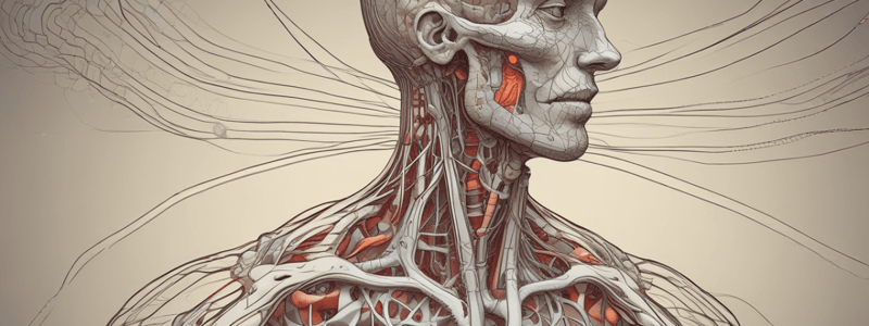 Physiology of Reflexes