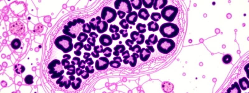 Histology and Its Methods of Study