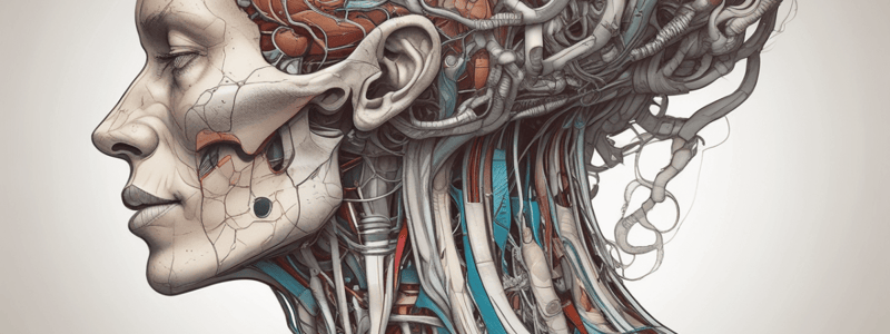 Anatomy of Head & Neck: Blood Supply and Venous Drainage