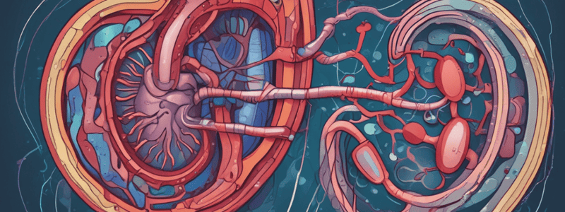 Acute Kidney Injury Phases