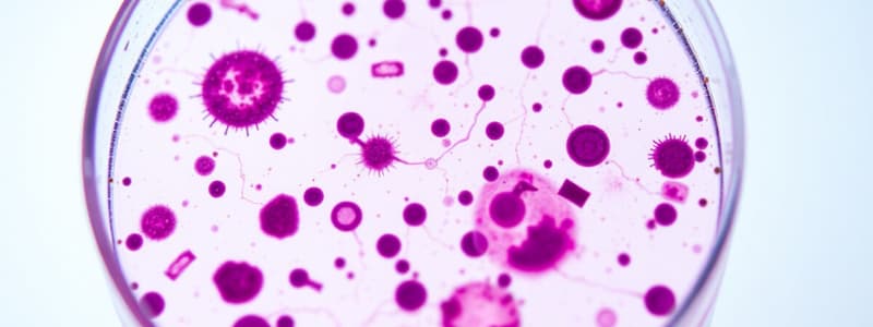 Microorganism Staining Techniques and Culture Media