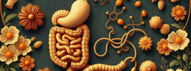 Carbohydrate Digestion Overview