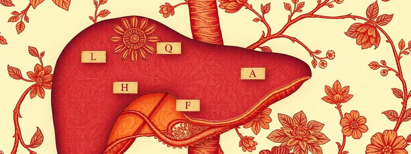 Liver Functions and Metabolism Quiz