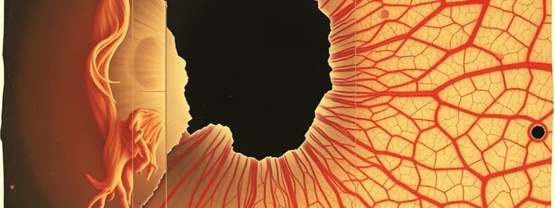 Corneal Stroma and Dense Irregular Connective Tissue