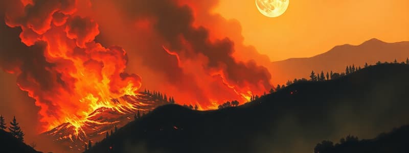 Los Angeles Wildfires 2025