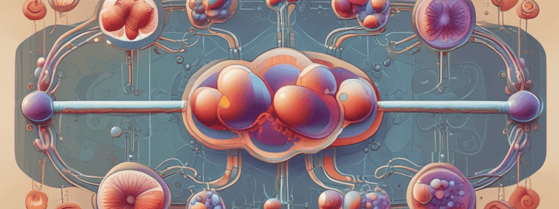 Triacylglycerols and Triglycerides