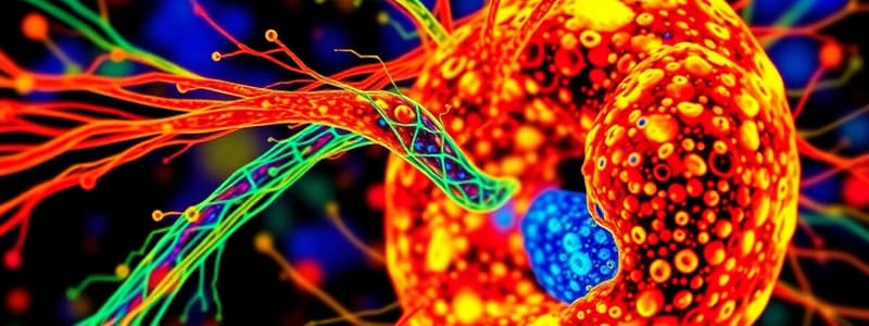 Cytoskeleton part 2