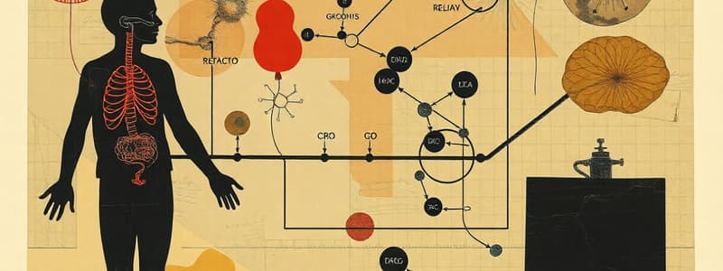 Cellular Respiration Overview