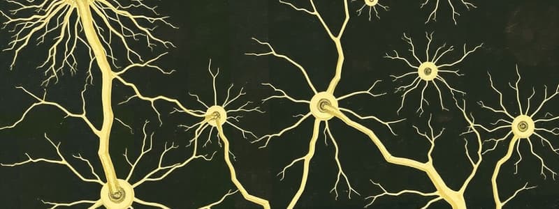 Nervous System: Neurons and Impulses