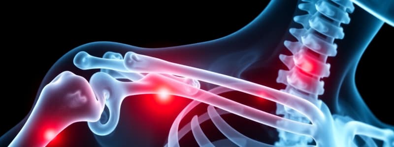 Clavicle Fracture Overview