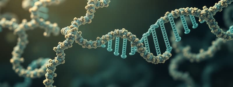 Structure de l'ADN à la protéine (8)