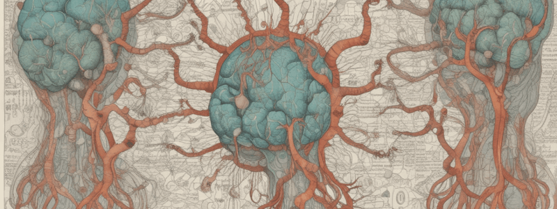 Neurotransmitter Interactions and Regulation