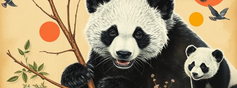 Panda Conservation Status and Challenges