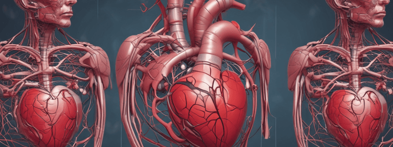 Cardiovascular Anatomy and Physiology