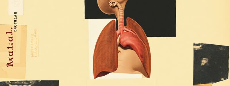 Embryology L9: Respiratory System