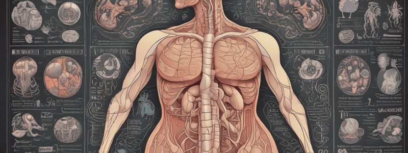 Endocrine System: Hormones and Glands