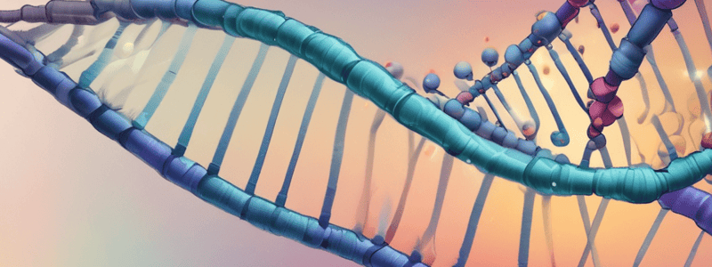 DNA Replication Process