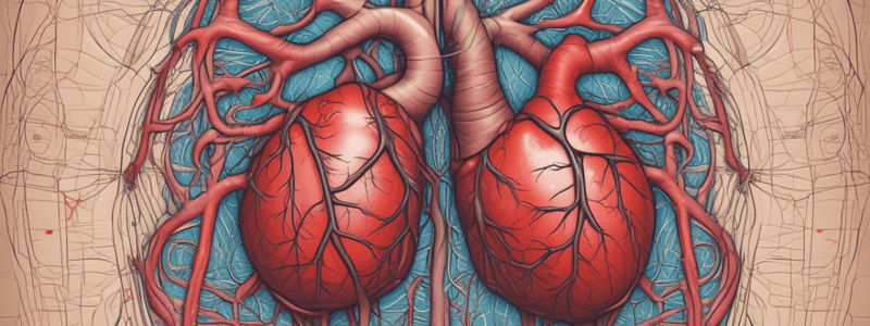 Cardiovascular System Overview