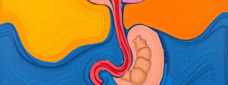 Upper GI System Disorders: Dysphagia Overview