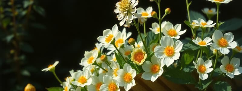 Medicinal Plants Collection and Harvesting