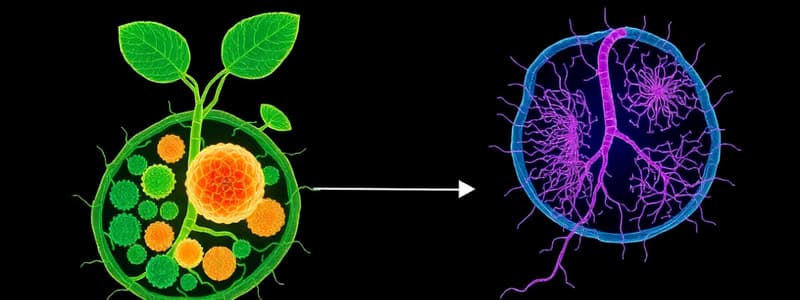 Biology: Cell Processes Quiz