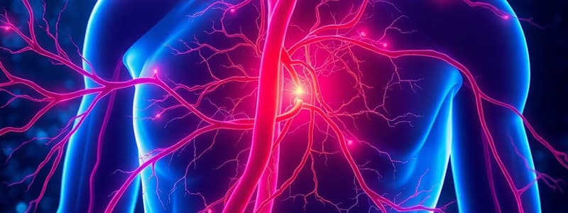 Cell biology - Endothelial Cells