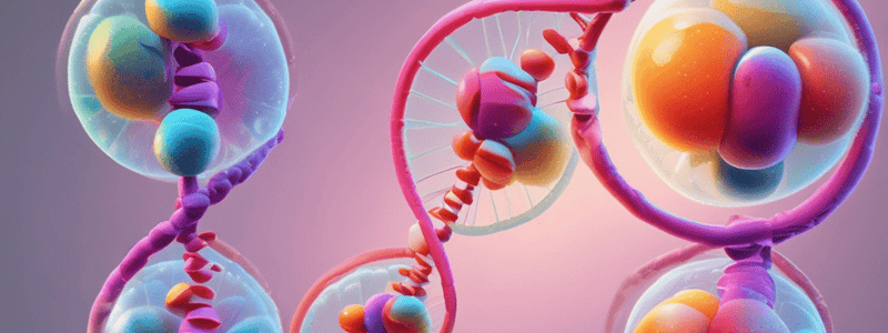 Cell Division and DNA Content Quiz