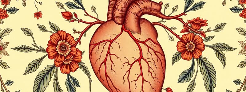 Cardiovascular System 2