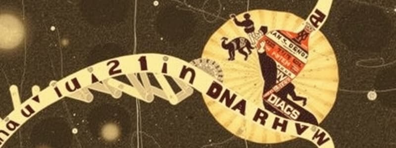 DNA Replication Enzymes and Structure