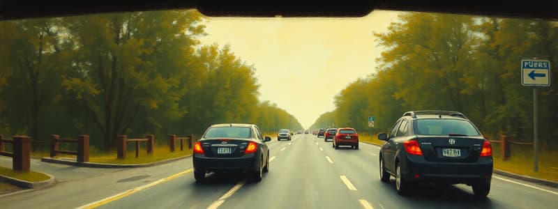 Driving: Basic Maneuvers and Lane Changes