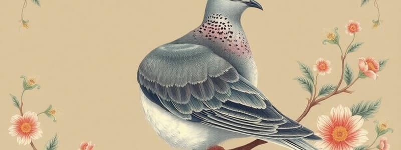 Mourning Dove Biological Facts