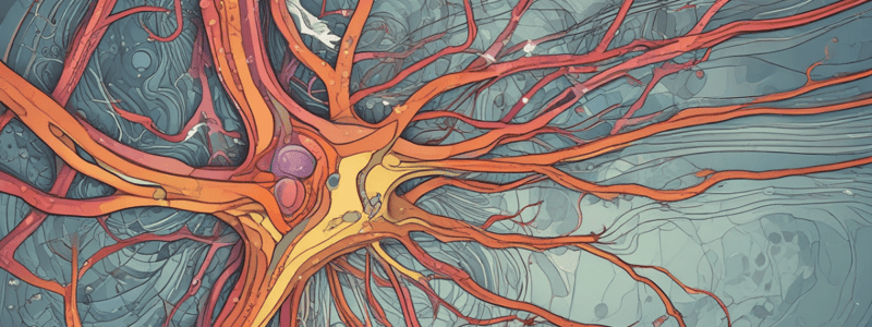 Neural Pathways of Taste