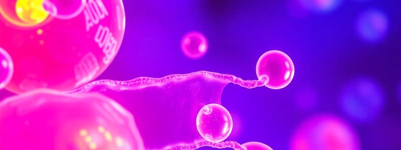 Cell Membranes Overview