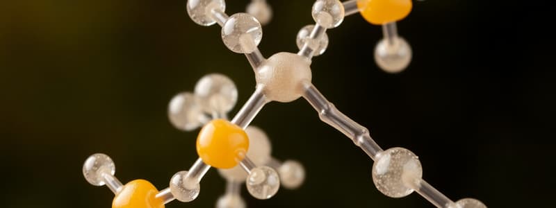 Carbohydrate Chemistry Overview