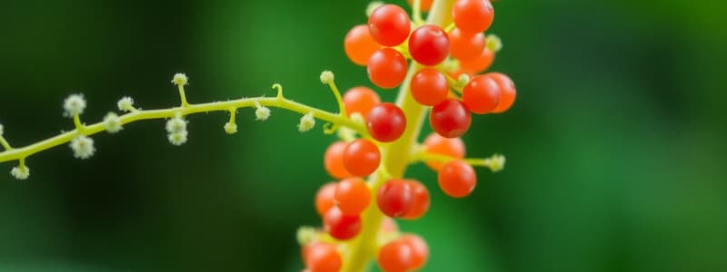 Biology Chapter on Plant Growth and Elements